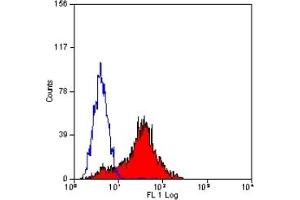 Staining of human peripheral blood lymphocytes with MOUSE ANTI HUMAN CD305(ABIN119871). (LAIR1 Antikörper)