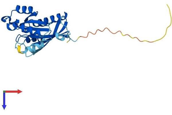 RAB2B Protein (AA 1-216) (His tag)