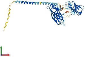 Protein Structure (PS) image for Synaptotagmin V (SYT5) (AA 1-386) protein (His tag) (ABIN7556193)