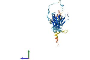 Protein Structure (PS) image for Dual Adaptor of Phosphotyrosine and 3-phosphoinositides (DAPP1) (AA 1-280) protein (His tag) (ABIN7561759)