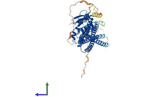 Protein Structure (PS) image for Sorting Nexin 8 (SNX8) (AA 1-465) protein (His tag) (ABIN7546293)
