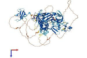 CYLD Protein (AA 1-952) (His tag)
