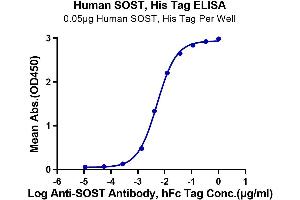 ELISA image for Sclerostin (SOST) (AA 24-213) protein (His-Avi Tag) (ABIN7275636)