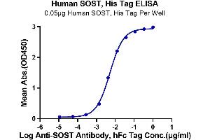 Immobilized Human SOST, His Tag at 0. (Sclerostin Protein (SOST) (AA 24-213) (His-Avi Tag))