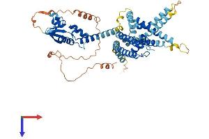 KCNV2 Protein (AA 1-545) (His tag)