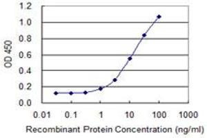 Detection limit for recombinant GST tagged ACOT7 is 0. (ACOT7 Antikörper  (AA 1-338))