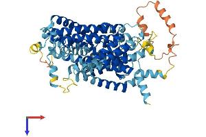 SLC7A1 Protein (AA 1-629) (His tag)