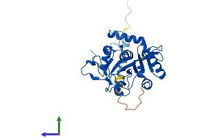 Protein Structure (PS) image for alpha-N-Acetylgalactosaminide alpha-2,6-Sialyltransferase 3 (SIA7C) (AA 1-305) protein (His tag) (ABIN7556294)
