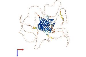 PTPN22 Protein (AA 1-802) (His tag)