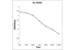 Antigen: 0. (MAS1L Antikörper  (AA 201-300))