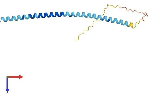 SNCA Protein (AA 1-140) (His tag)
