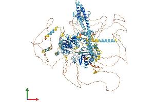 Protein Structure (PS) image for Excision Repair Cross-Complementing Rodent Repair Deficiency, Complementation Group 6 (ERCC6) (AA 1-1493) protein (His tag) (ABIN7553807)