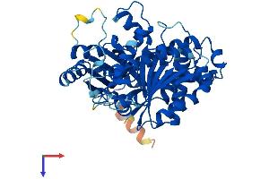 TUBB Protein (AA 1-444) (His tag)