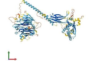 Protein Structure (PS) image for Chromosome 17 Open Reading Frame 70 (C17ORF70) (AA 1-879) protein (His tag) (ABIN7561891)