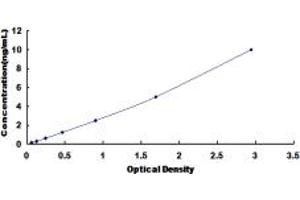 Typical standard curve (p63 ELISA Kit)