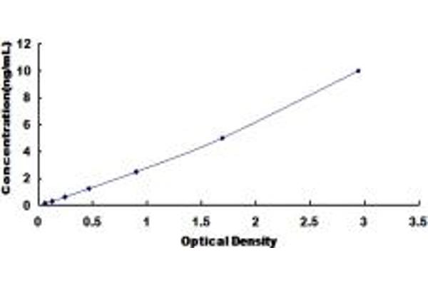 p63 ELISA Kit