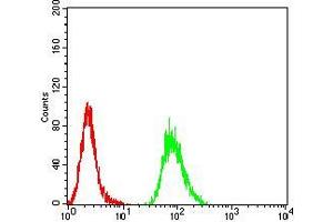 Flow cytometric analysis of Hela cells using VP2 mouse mAb (green) and negative control (red). (VP2 (AA 296-438) Antikörper)