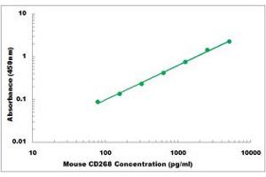 Representative Standard Curve