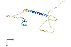 Protein Structure (PS) image for Tumor Necrosis Factor Receptor Superfamily, Member 13C (TNFRSF13C) (AA 1-184) protein (His tag) (ABIN7544767)