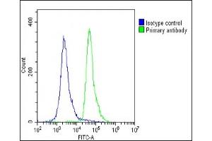 Overlay histogram showing U-2 OS cells stained with (ABIN655307 and ABIN2844889)(green line). (RAB12 Antikörper  (N-Term))