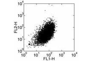 Image no. 1 for anti-Interleukin 1 alpha (IL1A) antibody (FITC) (ABIN473783) (IL1A Antikörper  (FITC))