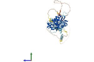 Protein Structure (PS) image for Enhancer of mRNA Decapping 3 (EDC3) (AA 1-508) protein (His tag) (ABIN7547271)