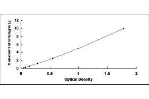 Typical standard curve (THRSP ELISA Kit)