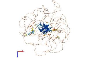 LMTK2 Protein (AA 1-1471) (His tag)