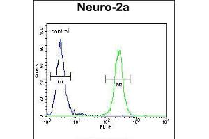 Flow cytometric analysis of Neuro-2a cells (right histogram) compared to a negative control cell (left histogram). (CEP89 Antikörper  (C-Term))