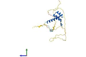AlphaFold protein structure predicition of Mouse Recombinant Bsx Protein, UniprotID Q810B3 (BSX Protein (AA 1-232) (His tag))