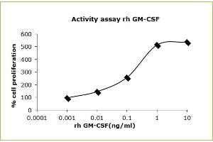 The activity of recombinant human GM-CSF is determined by the dose-dependent induction of human TF-1 proliferation cell. (GM-CSF Protein (AA 8-144))