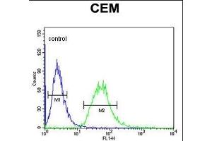 CA6 Antibody (C-term) (ABIN653737 and ABIN2843041) flow cytometric analysis of CEM cells (right histogram) compared to a negative control cell (left histogram). (CA6 Antikörper  (C-Term))