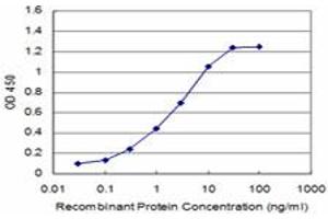 ELISA image for anti-DEAD (Asp-Glu-Ala-Asp) Box Polypeptide 56 (DDX56) (AA 450-548) antibody (ABIN599259) (DDX56 Antikörper  (AA 450-548))