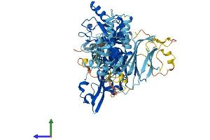 Protein Structure (PS) image for Calpain 13 (CAPN13) (AA 1-669) protein (His tag) (ABIN7552835)
