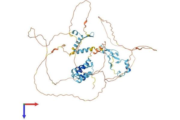 MED26 Protein (AA 1-588) (His tag)
