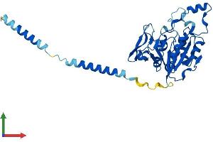 Protein Structure (PS) image for beta-1,3-Glucuronyltransferase 3 (Glucuronosyltransferase I) (B3GAT3) (AA 1-335) protein (His tag) (ABIN7556510)