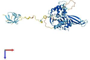 USP14 Protein (AA 1-493) (His tag)