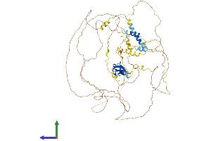 Protein Structure (PS) image for LIM Domain and Actin Binding 1 (LIMA1) (AA 1-759) protein (His tag) (ABIN7548983)