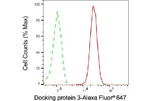 Flow cytometric analysis of Docking protein 3 expression in Raji cells using Docking protein 3 antibody (ABIN7798380), 1:1,000).