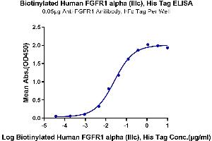 Immobilized Anti-FGFR1 Anitibody, hFc Tag at 0.