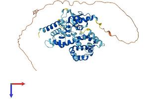 MICU1 Protein (AA 1-477) (His tag)