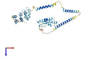 NFKBIL1 Protein (AA 1-381) (His tag)