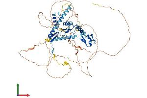Protein Structure (PS) image for Cysteine-serine-Rich Nuclear Protein 1 (CSRNP1) (AA 1-589) protein (His tag) (ABIN7546807)