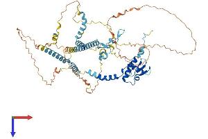 NCAPH2 Protein (AA 1-607) (His tag)