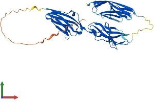 Protein Structure (PS) image for Myosin Binding Protein H-Like (MYBPHL) (AA 1-355) protein (His tag) (ABIN7557449)