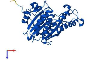 MEMO1 Protein (AA 1-297) (His tag)