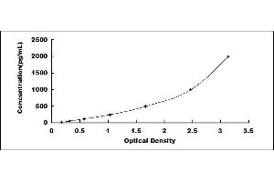 beta 2 Defensin ELISA Kit