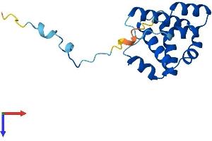 ARPC5L Protein (AA 1-153) (His tag)
