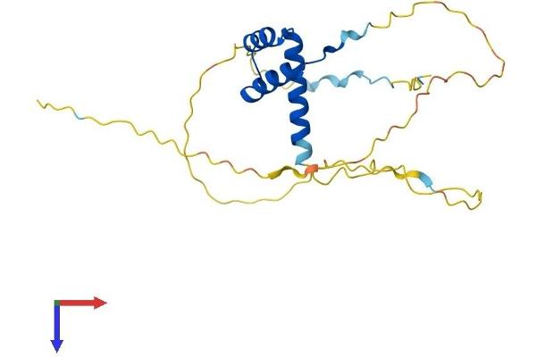 PROP1 Protein (AA 1-223) (His tag)