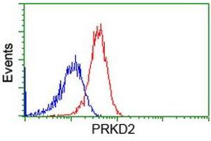 Flow Cytometry (FACS) image for anti-Protein Kinase D2 (PKD2) antibody (ABIN1500414) (PKD2 Antikörper)